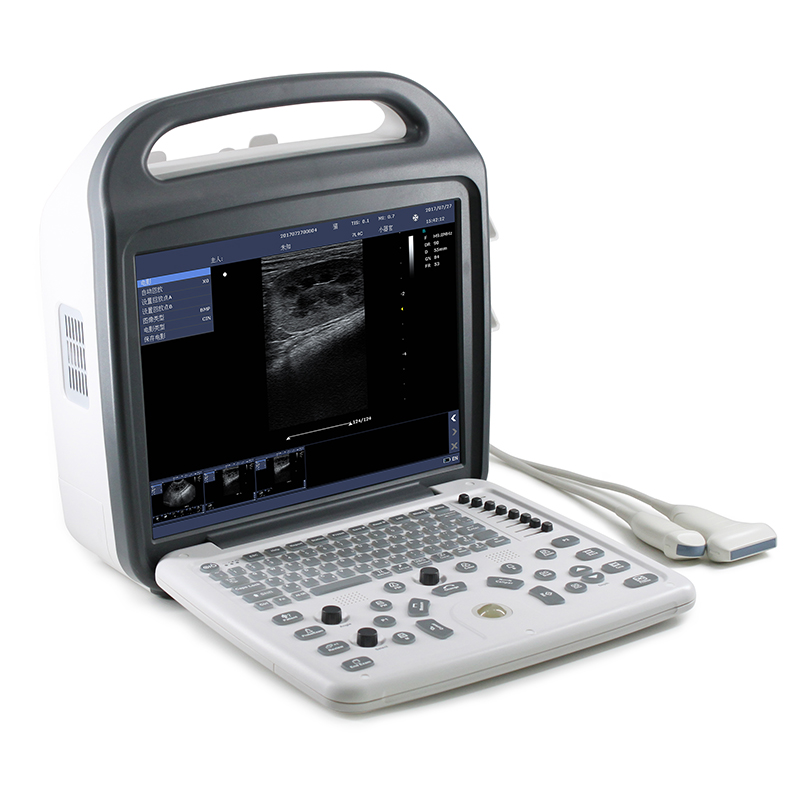 Veterinary Doppler Ultrasound