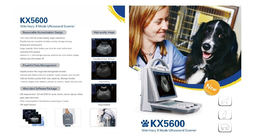 KX5600 Black & White Portable Ultrasound Scanner for VET