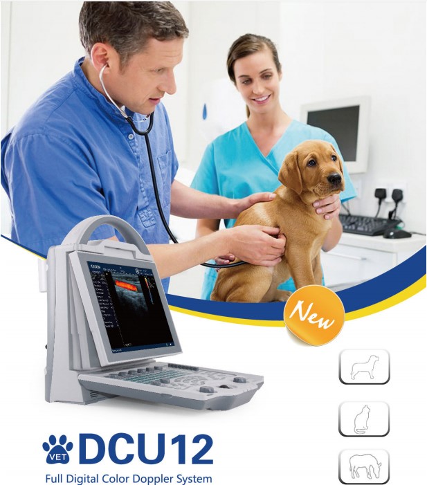 DCU12 Full Digital Color Doppler Ultrasound scanner（Vet)