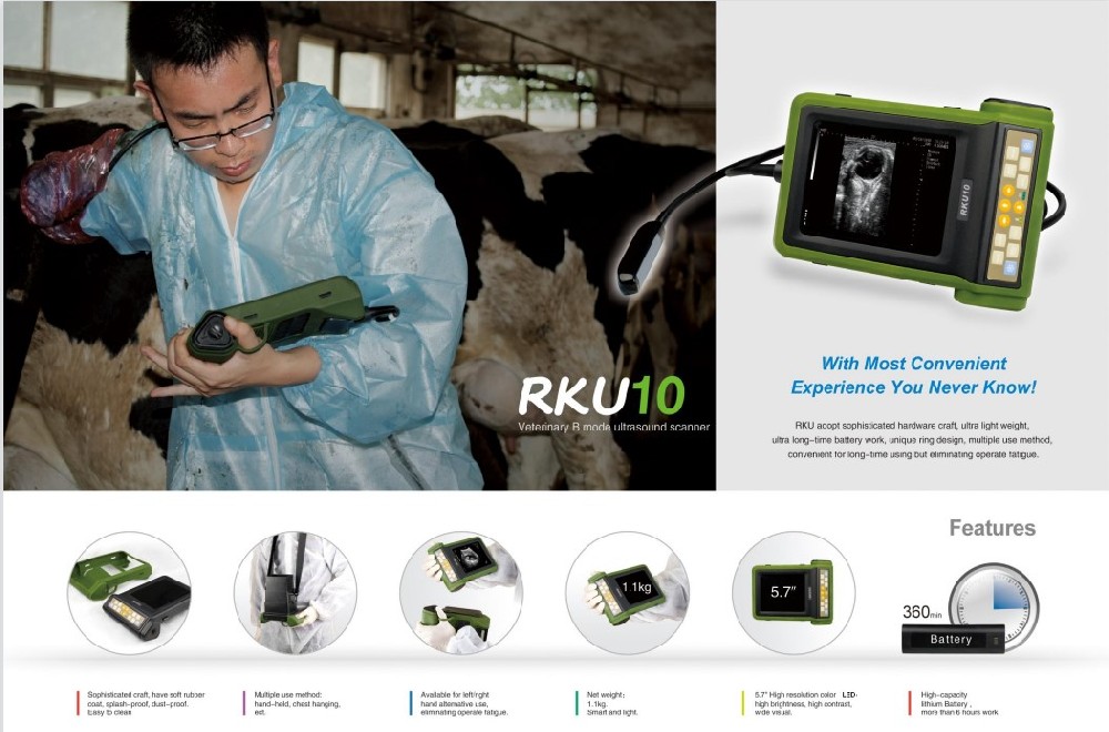 RKU 10 Veterinary Ultrasound Scanner